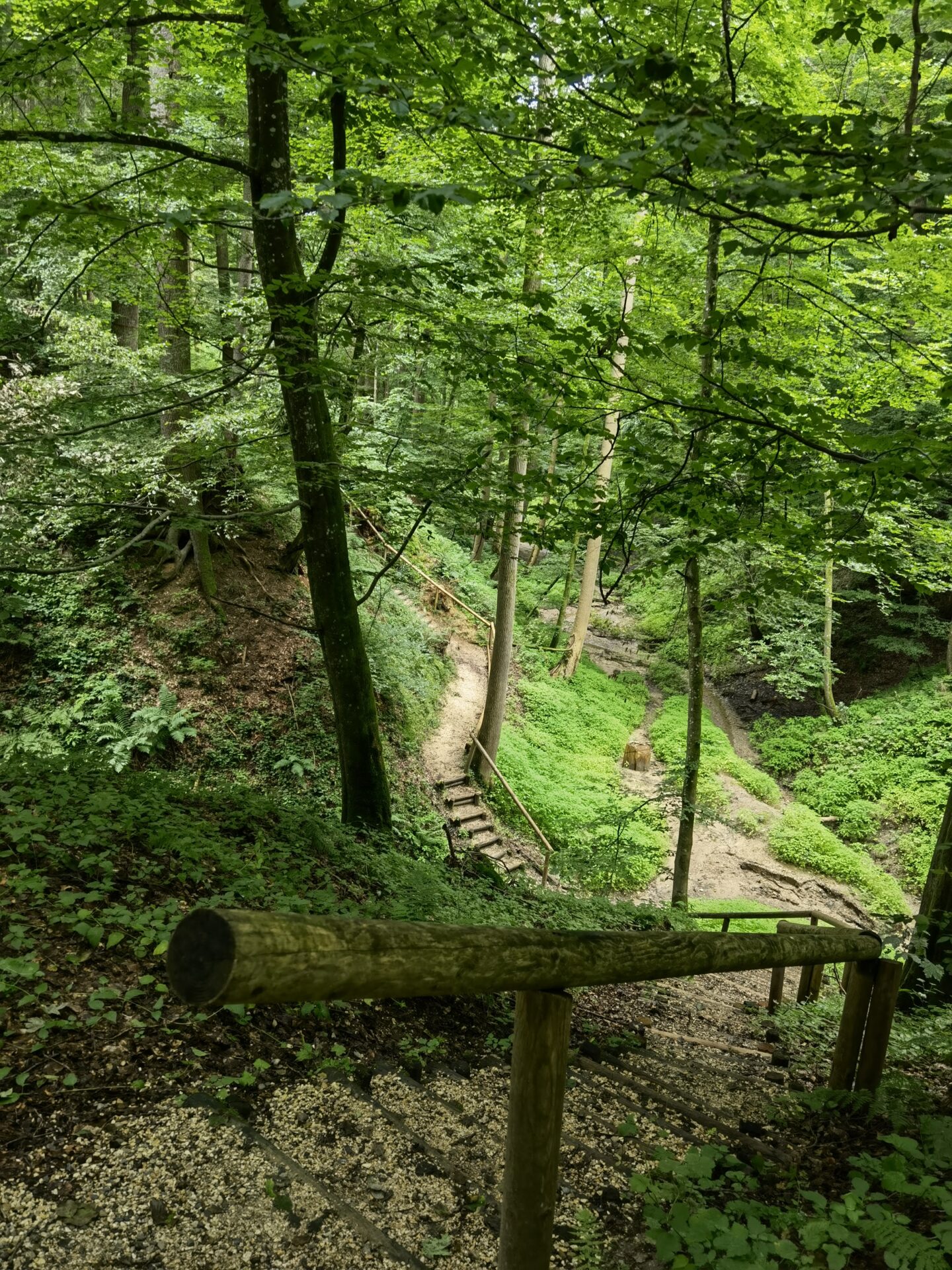 Thannhausen – Naturerlebnispfad Hansenhohl | Natur-mit-Vier.de