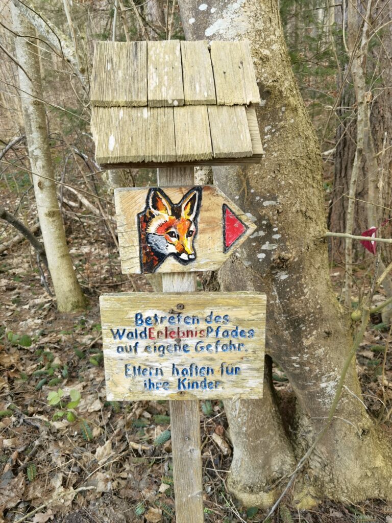 Walderlebnispfad Denklingen folgt dem Fuchs